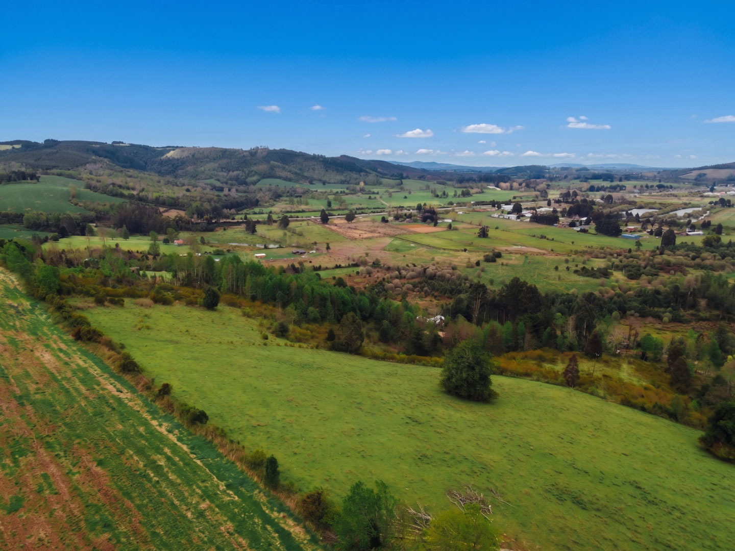 Paisaje Parcelas Paillaco